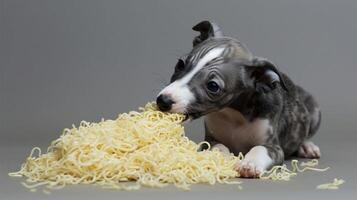 Playful puppy curiously interacts with a pile of noodles on a neutral background photo