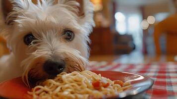 Playful dog enjoying a plate of spaghetti in a cozy home setting with blurred background photo