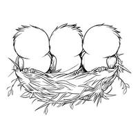 Sketch of Three Bird Eggs in a Nest vector