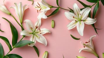 Elegant white lilies arranged on a soft pink background with leaves scattered around, perfect for floral designs photo