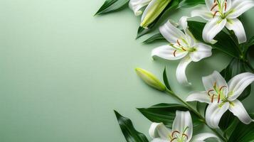 Elegant arrangement of white lilies with green leaves on a soft green background, ideal for floral designs photo