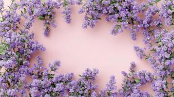 Purple flowers beautifully arranged on a soft pink background, creating a serene and vibrant frame photo