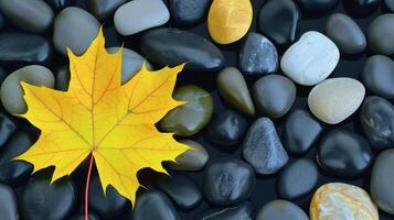 Vibrant yellow maple leaf resting on smooth black and gray pebbles, creating a serene natural composition photo