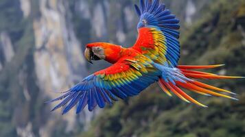 Vibrant Scarlet Macaw in Flight Over Lush Green Mountains with Colorful Feathers Displayed photo
