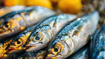Freshly caught sardines displayed on a market stall with vibrant citrus fruits in the background photo