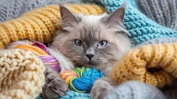 Cozy cat nestled in colorful yarn and knitted blankets, surrounded by soft textures indoors photo