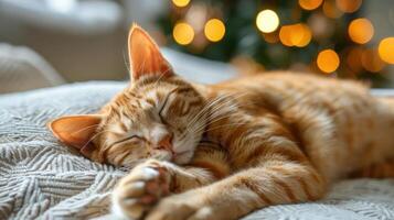 A peaceful ginger cat sleeping on a cozy blanket with a softly lit Christmas tree in the background photo
