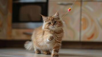 Playful ginger cat engaging with a colorful string toy in a cozy kitchen setting photo