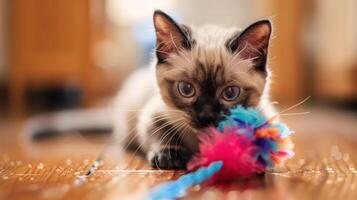 Playful kitten engaging with colorful toy on wooden floor, warm indoor setting with blurred background photo