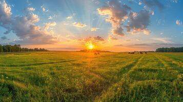Serene sunset over a lush green field with grazing cattle, vibrant clouds, and distant trees photo