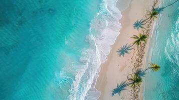 Aerial view of a serene tropical beach with clear turquoise waters and palm tree shadows photo