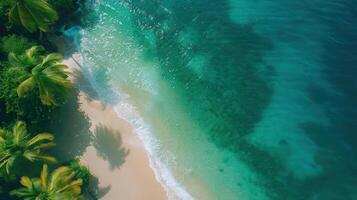 Aerial view of a serene beach with clear turquoise waters and lush palm trees lining the shore photo