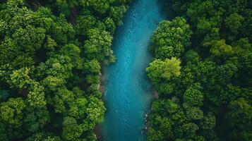 Aerial view of a winding river surrounded by lush green forests in a tranquil natural setting photo