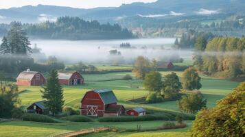 Serene rural landscape featuring red barns amidst lush green fields and morning fog photo
