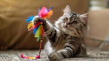 Playful cat engaging with colorful feather toy in cozy indoor setting, showcasing joy and curiosity photo