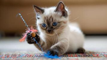 Playful kitten engaging with colorful toy on a cozy indoor rug, capturing a moment of joy photo