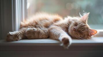 A serene ginger cat peacefully sleeping on a windowsill, sunlight streaming through, creating a warm ambiance photo