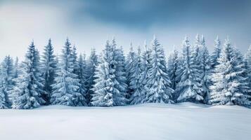 Snow-covered evergreen trees in a tranquil winter landscape under a cloudy sky photo