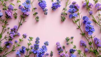 Beautiful arrangement of lavender flowers on a soft pink background, ideal for design use photo