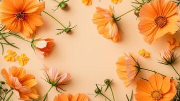 Vibrant arrangement of orange and pink flowers on a soft peach background, creating a cheerful ambiance photo
