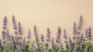 Beautiful lavender flowers arranged against a soft peach background, creating a serene atmosphere photo