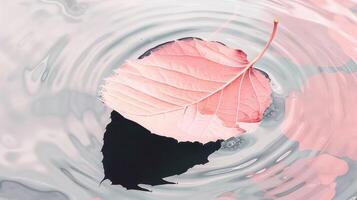 A delicate pink leaf floating serenely on the surface of a tranquil water body, reflecting soft ripples photo