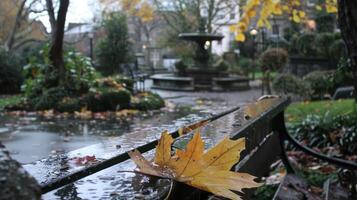 Autumn scene featuring a wet bench with a large leaf in a tranquil garden with a fountain photo