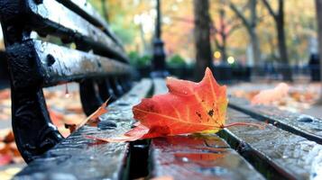 Vibrant autumn leaves resting on a wet park bench amidst colorful fall foliage photo