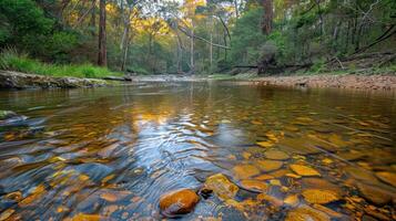 Serene river scene with clear water reflecting autumn foliage and pebbles in the foreground photo