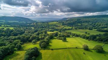 Aerial view of lush green fields with scattered trees and grazing sheep under a cloudy sky photo