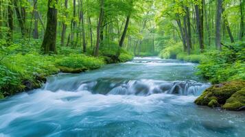 Serene river flowing through a lush green forest, with soft light filtering through trees photo