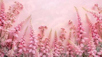 Beautiful pink flowers blooming against a soft pastel background, creating a serene atmosphere photo