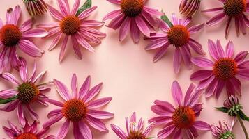 Vibrant pink flowers arranged in a circular pattern on a soft pink background, perfect for spring themes photo