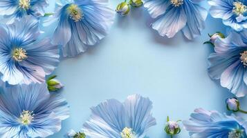 Blue flowers arranged in a circular pattern on a soft blue background, creating a serene atmosphere photo