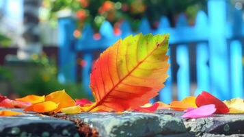 Vibrant autumn leaves scattered on a stone path with a colorful garden in the background photo