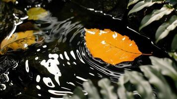 Vibrant orange leaf floating on water surface surrounded by lush greenery in a serene environment photo