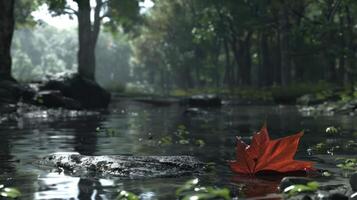 Tranquil forest scene with a vibrant red leaf resting on a rock in a serene stream, surrounded by lush greenery photo