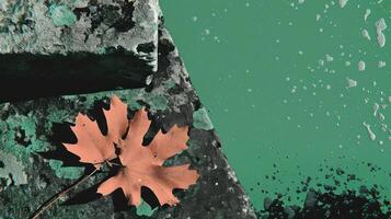 A fallen autumn leaf resting on a textured surface with green paint splashes in the background photo