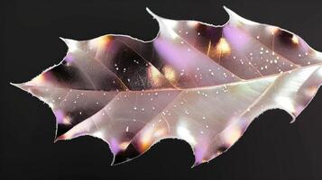 Close-up of a translucent leaf showcasing intricate patterns and colors against a dark background photo