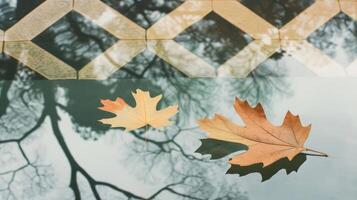 Autumn leaves floating on calm water, reflecting trees and patterned tiles in tranquil setting photo