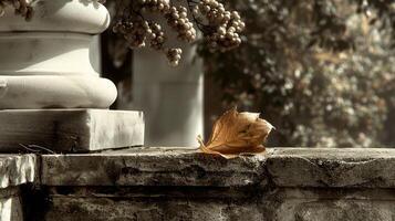 Autumn leaf resting on a stone ledge with blurred foliage in the background, evoking tranquility photo