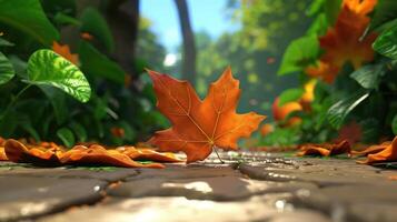 Vibrant autumn leaves scattered on a sunlit path in a serene forest setting photo