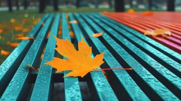 Vibrant autumn leaves resting on a colorful park bench after rain, with blurred trees in background photo