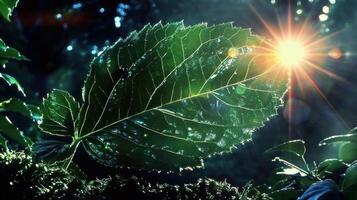 Sunlight filtering through lush green leaves in a vibrant forest setting, highlighting nature's beauty photo