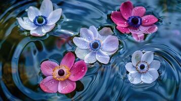Beautifully arranged colorful flowers floating on a tranquil water surface with gentle ripples photo