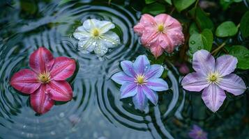 Vibrant flowers floating on water surface, surrounded by gentle ripples and green foliage photo