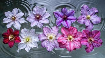 Vibrant assortment of colorful flowers floating on water surface with ripples, serene atmosphere photo