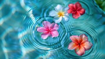 Colorful tropical flowers floating on tranquil water surface with ripples and reflections photo