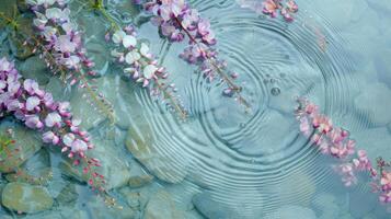 Serene scene of pink flowers floating on calm water, creating ripples over smooth stones photo