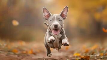 Playful puppy joyfully running through a colorful autumn forest, capturing the essence of freedom photo